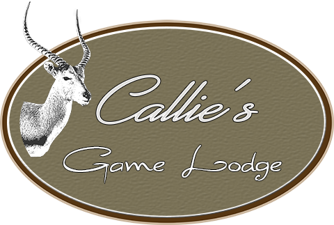 Callies Game Lodge