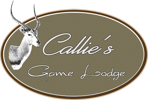 Callie's Game Lodge